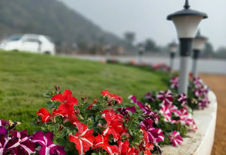 Landscaped resort garden